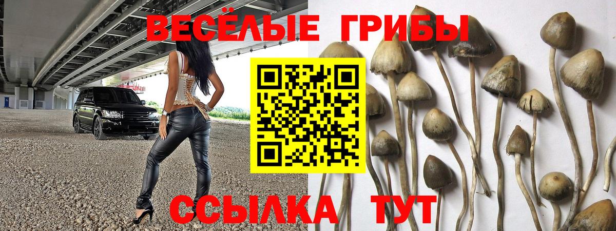 Псилоцибиновые грибы Psilocybine cubensis  Псилоцибиновые грибы Psilocybe  Кировск  Вход с VPN 
