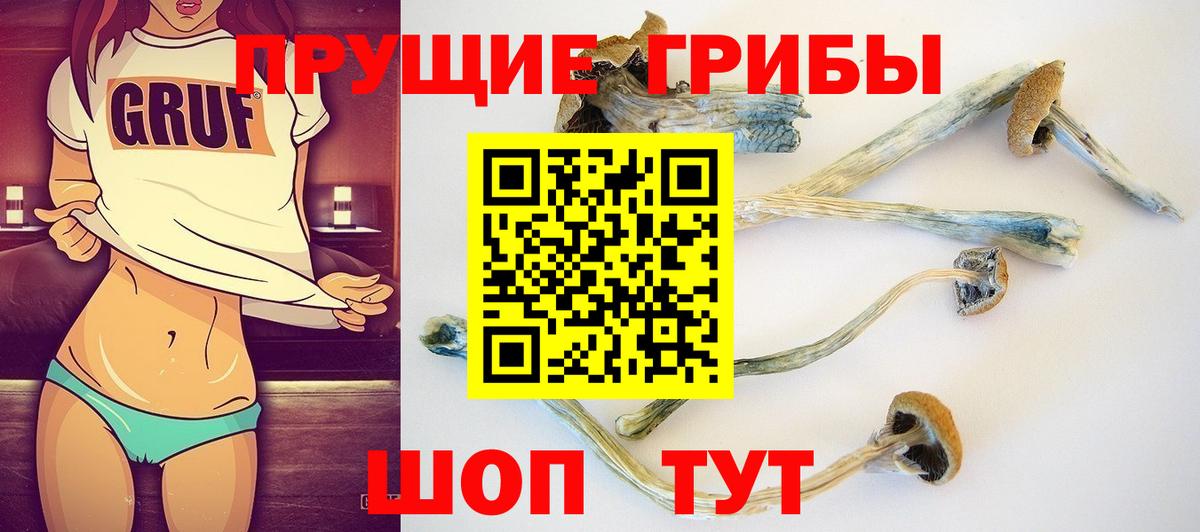 Галлюциногенные грибы ЛСД Кировск